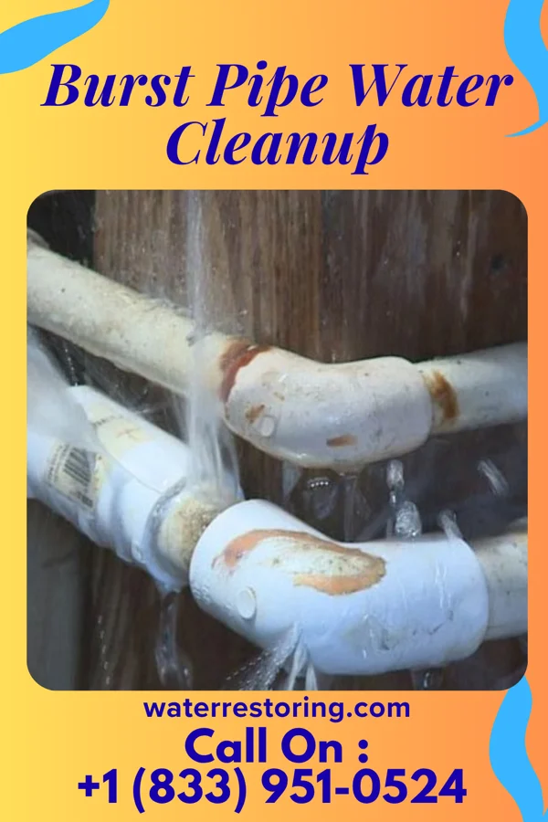 Burst Pipe Water Cleanup in Alexandria, NE